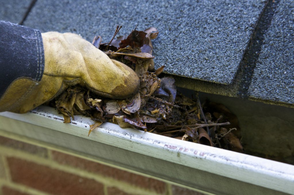 Gutter Cleaning 1024x680 - A Year of Housecleaning