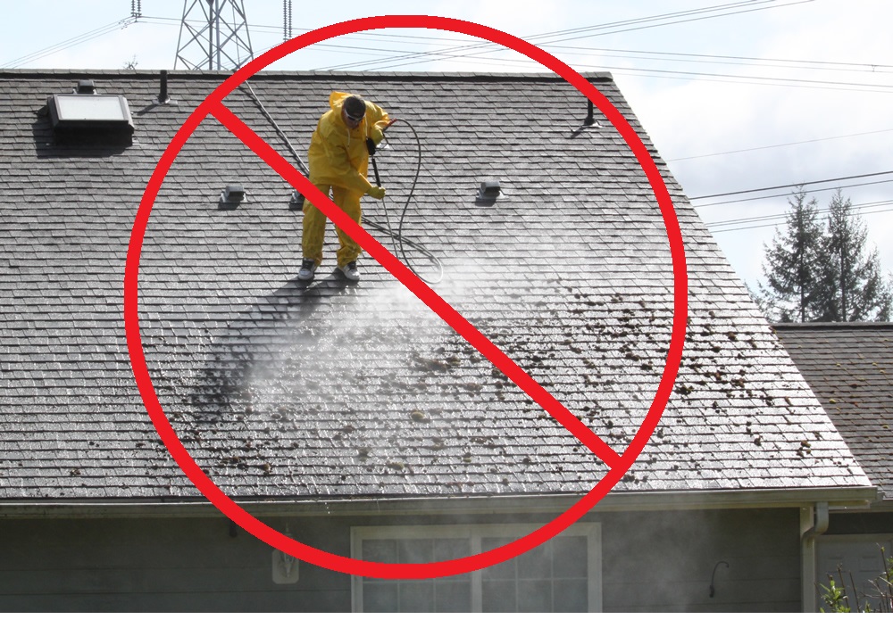 pressure washing roof - “Clean Your Roof!”